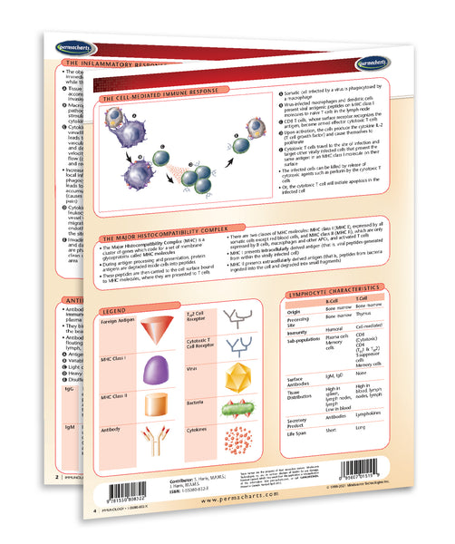 Medicine & Anatomy - Immunology