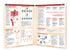 Medicine & Anatomy - Immunology