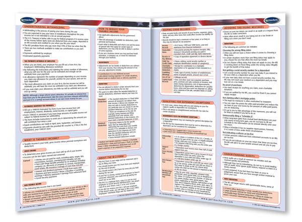 Business & Professional Development - Income Tax Tips - USA