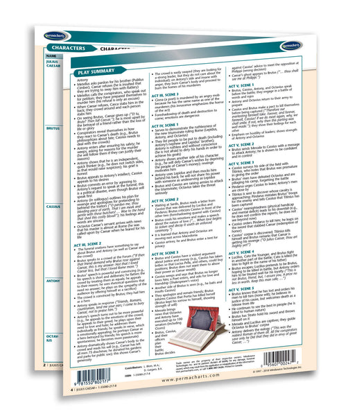 Julius Caesar novel summary guide Page 3