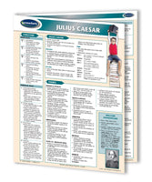 Julius Caesar novel summary guide Page 1