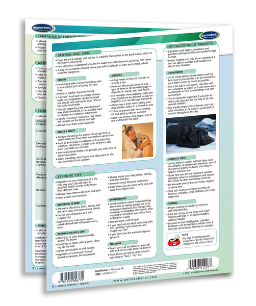 Dog breeds - Labrador Retrievers page 3