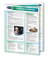 Dog breeds - Labrador Retrievers