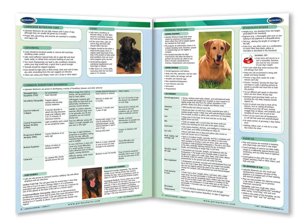 Dog breeds - Labrador Retrievers page 2