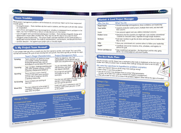 Business & Professional Development - Managing A Project Team