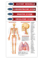 Medical and Anatomy Charts