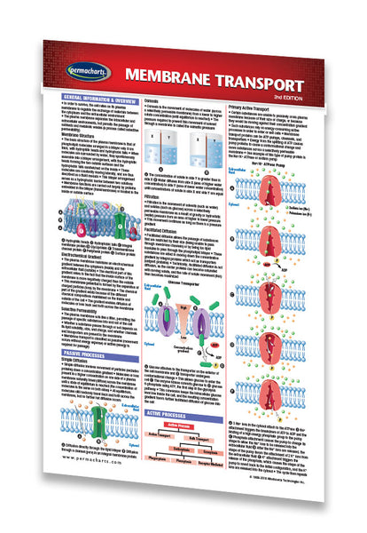 Medicine & Anatomy - Membrane Transport (Pocket Size)