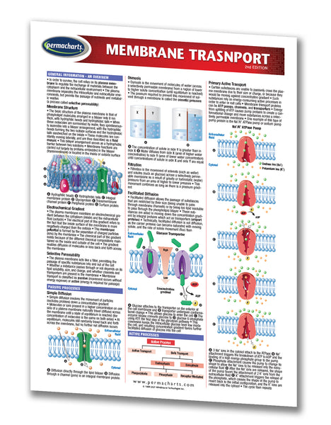 Membrane Transport