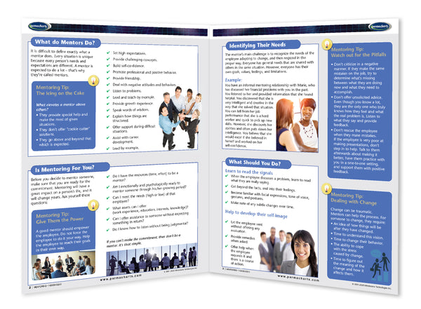 Business & Professional Development - Mentoring