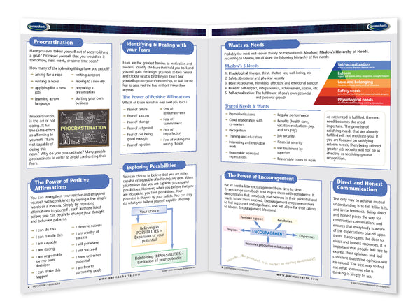 Business & Professional Development - Motivation
