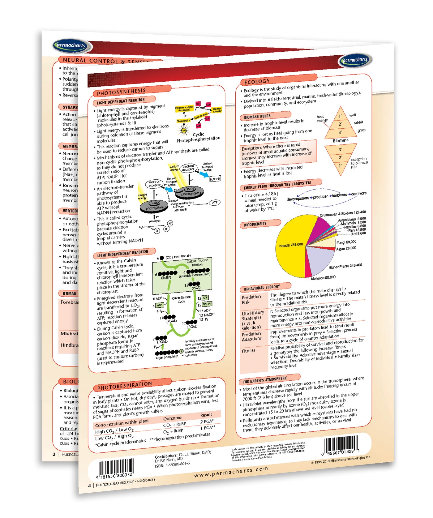Multicellular Biology Guide - Quick Reference Resource – Permacharts.com
