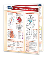 Multicellular Biology chart front