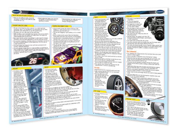 Fun & Leisure - NASCAR Race Cars