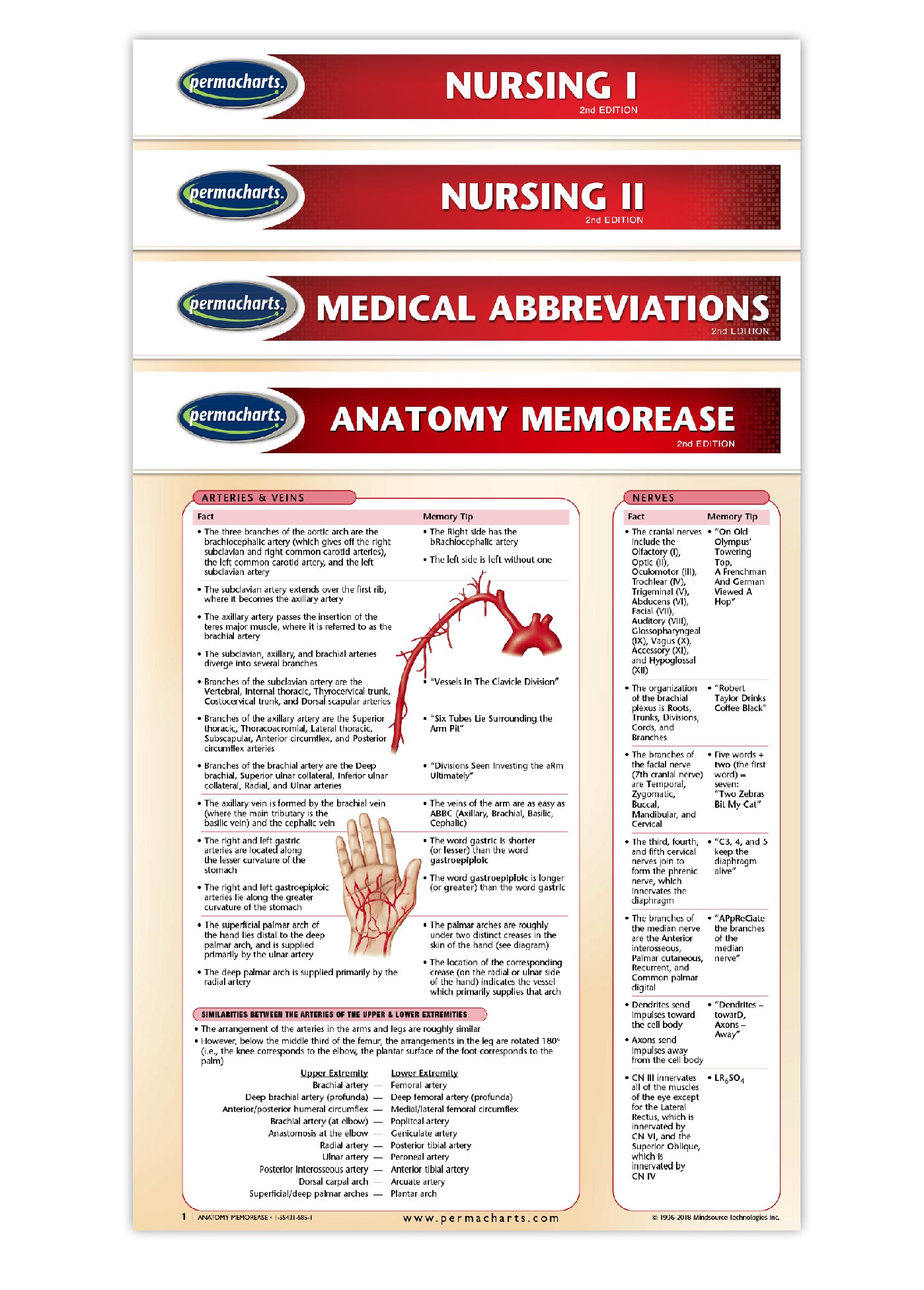 Nursing Charts Bundles - 4 Medical Quick Reference Guides - Laminated ...