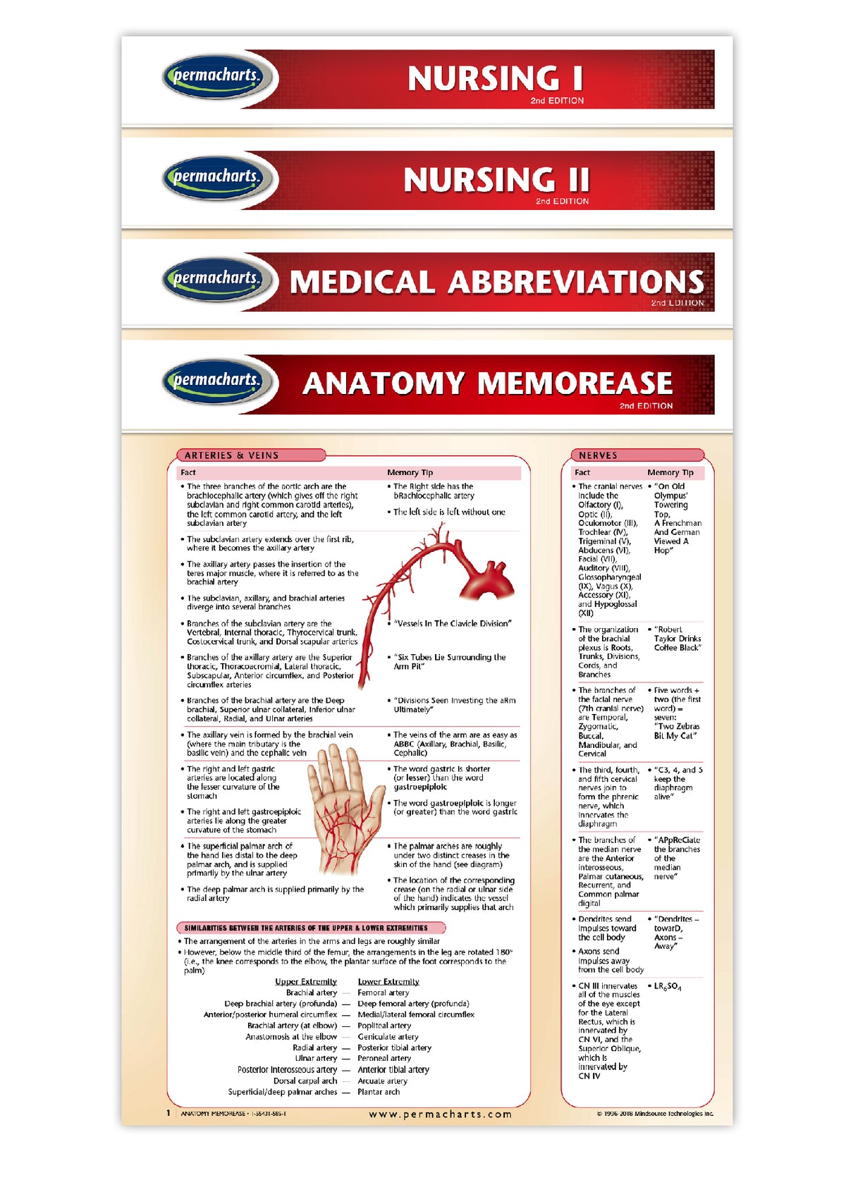 Nurses Medical Chart Nursing Charts Bundles - 4 Medical Quick Reference Guides - Laminated ...