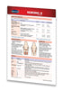 Medicine & Anatomy - Nursing II (Pocket Size) quick reference guide