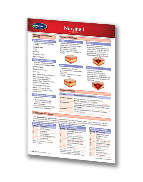 nursing pocket chart