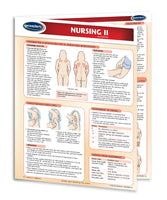 Medicine & Anatomy - Nursing II