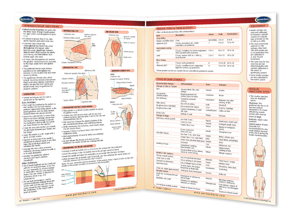 Medicine & Anatomy - Nursing II