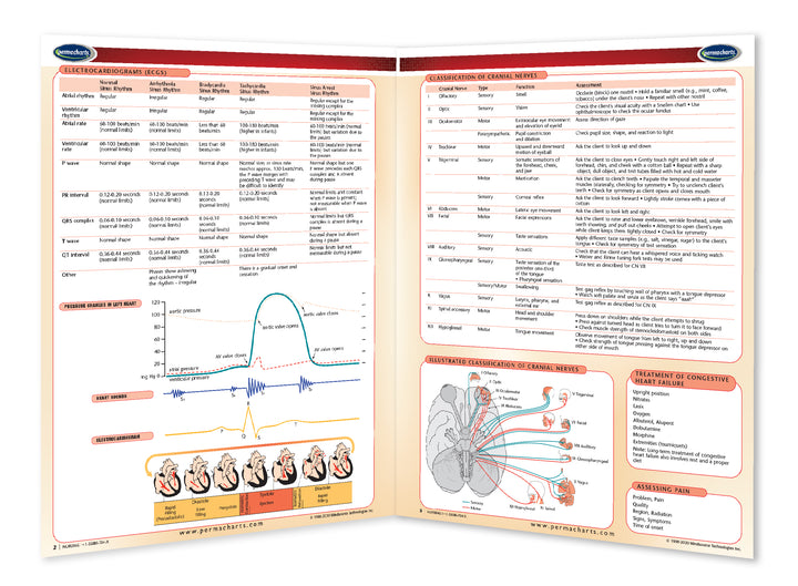 Nursing Study Guide I - Quick Reference Resource – Permacharts.com
