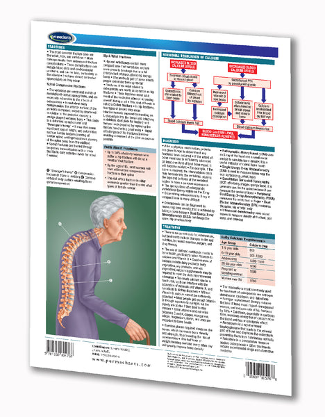 Osteoporosis Guide - Health & Medical Quick Reference Guide