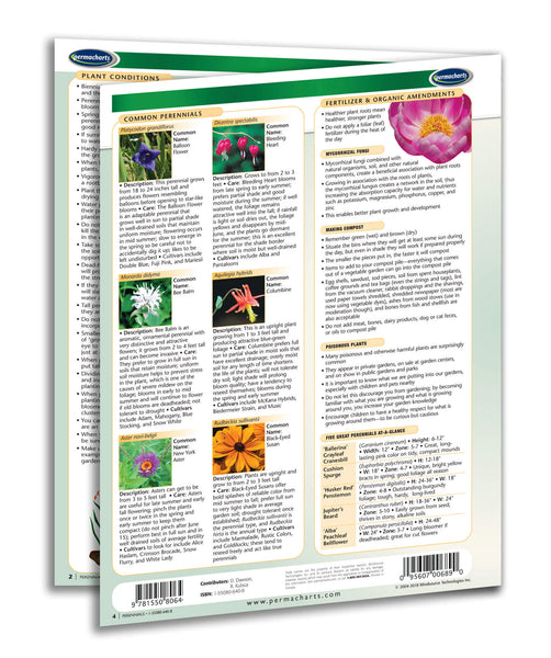 Home & Family - Perennials