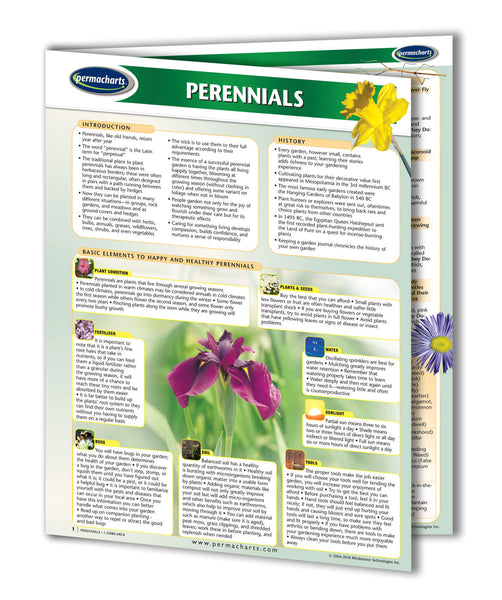 Perennials Garden Guide