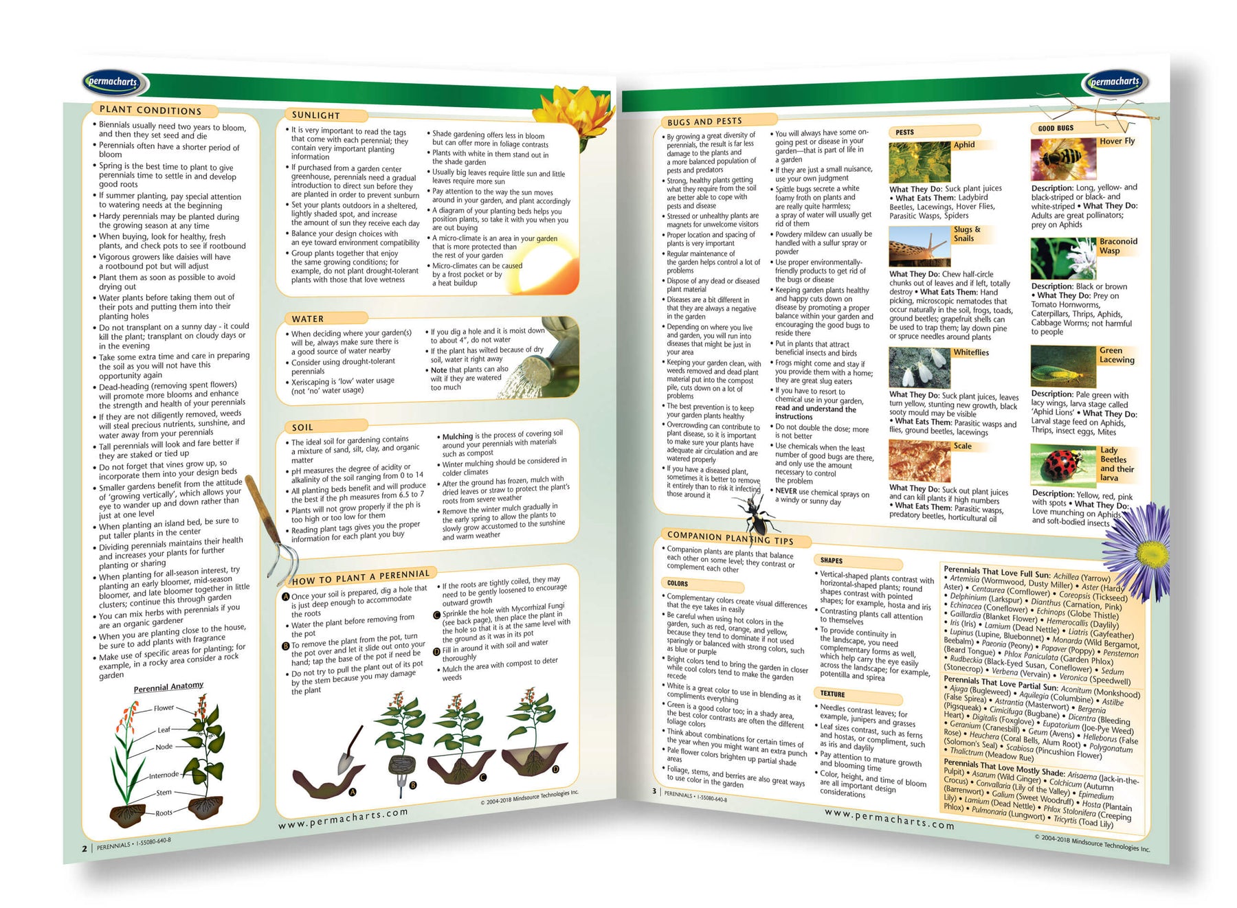 Perennials Planting Guide - Gardening - Quick Reference – Permacharts.com