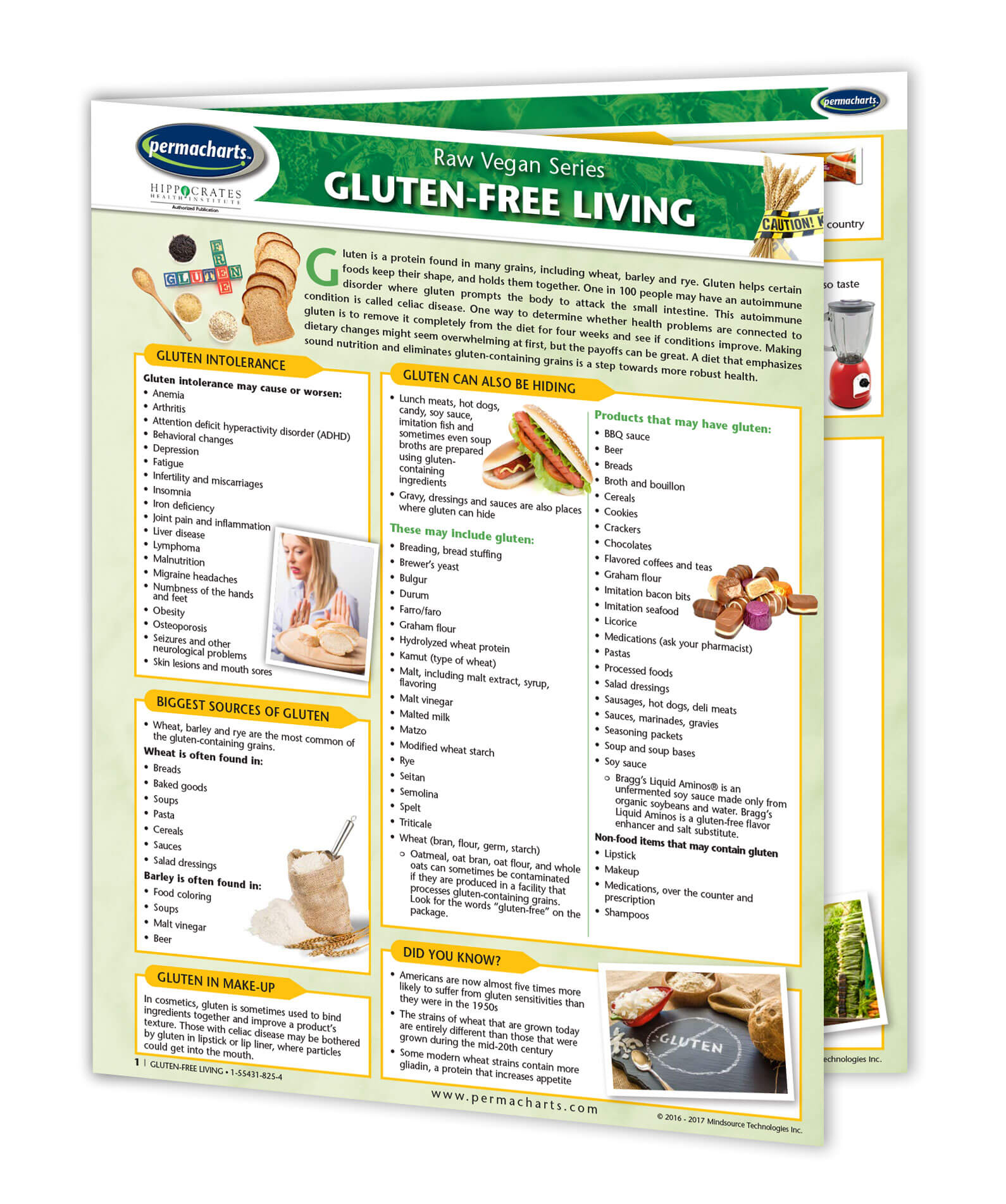 GLUTEN FREE DIET TO A HEALTHIER LIFE: A Guide to Gluten Free Diet See more