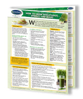 Raw Vegan How to grow Wheatgrass Permacharts