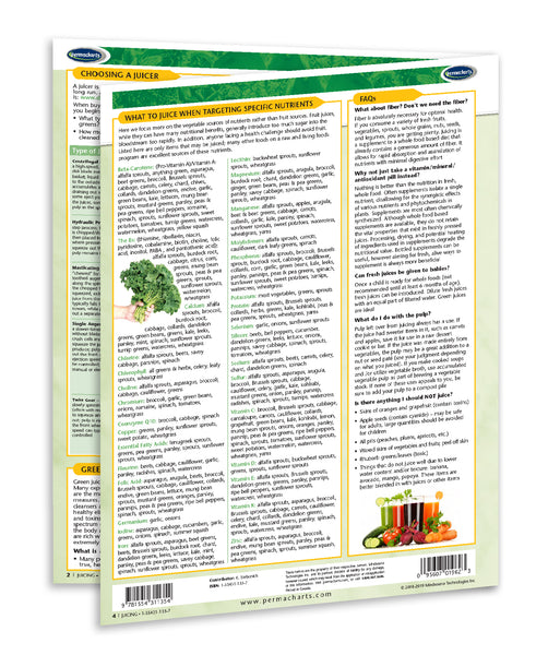 Raw Vegan Series - Juicing