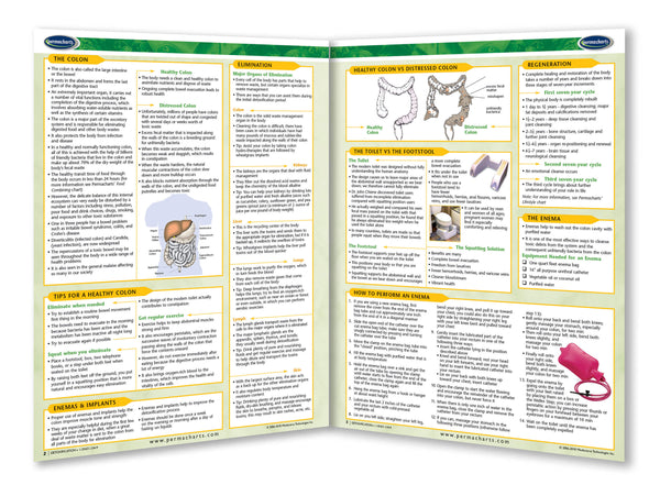 Raw Vegan Detoxification guide page 2
