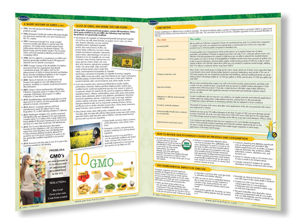 Raw Vegan Health Guides - Retail Kit