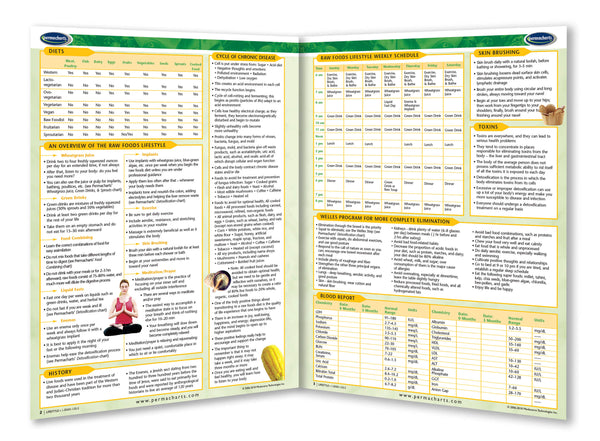 Raw Vegan Lifestyle guide