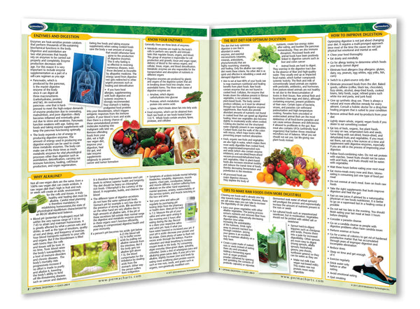 Raw Vegan Living Guides - Retail Kit