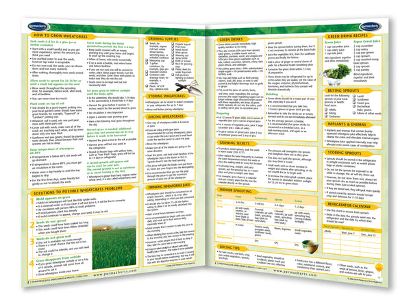 Wheatgrass Juice & Green drinks 