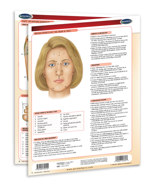 Reflexology chart: Permacharts