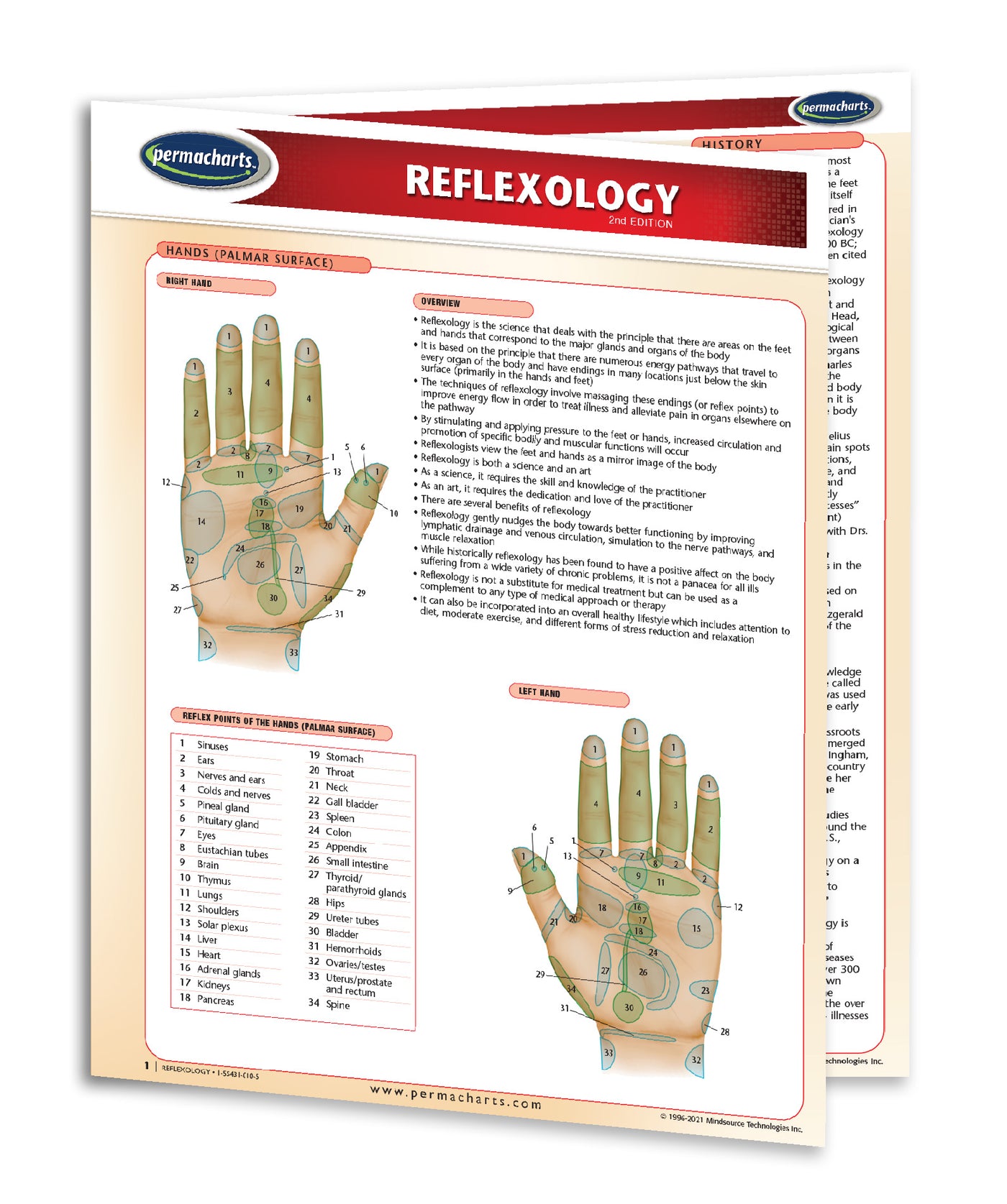 Reflexology Chart - 4-page Laminated Quick Reference Guide 8.5