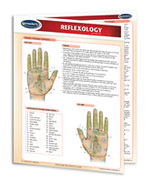 Reflexology chart: Permacharts