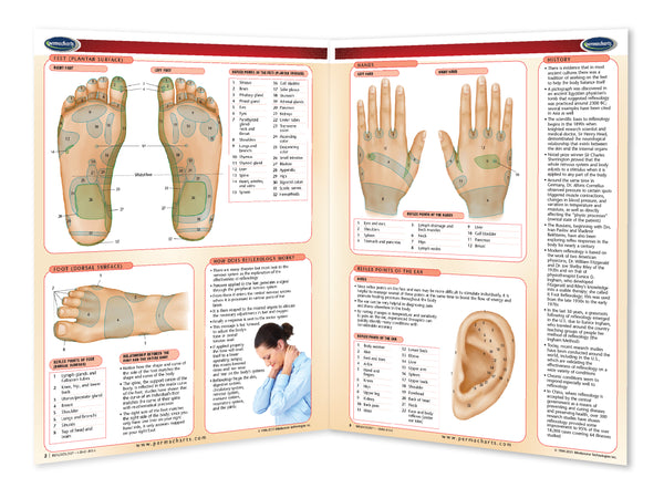 Reflexology chart: Permacharts