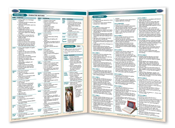 Romeo & Juliet Novel Summary Guide page 2