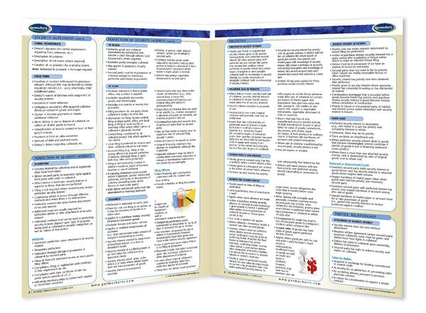 Business & Professional Development - Secured Transactions