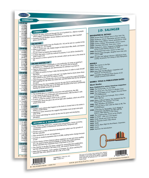 The Catcher In The Rye Novel Summary Guide page 3