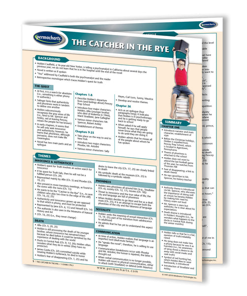 The Catcher In The Rye Novel Summary Guide