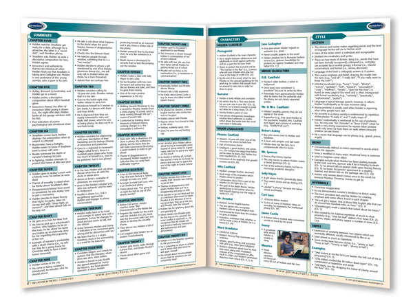 The Catcher In The Rye Novel Summary Guide page 2