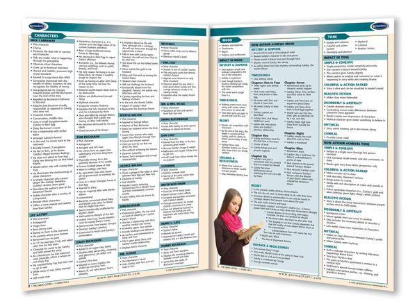 The Great Gatsby Novel Summary Guide page 2