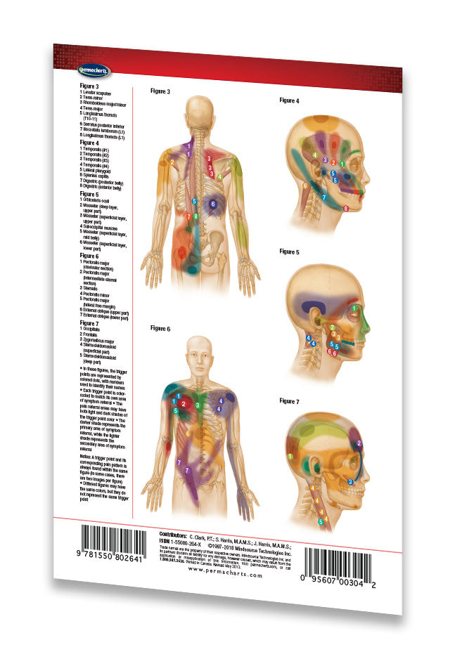 Trigger Point Collection Trigger Points Guide Head & Torso (Pocket Size) - Quick Reference ...