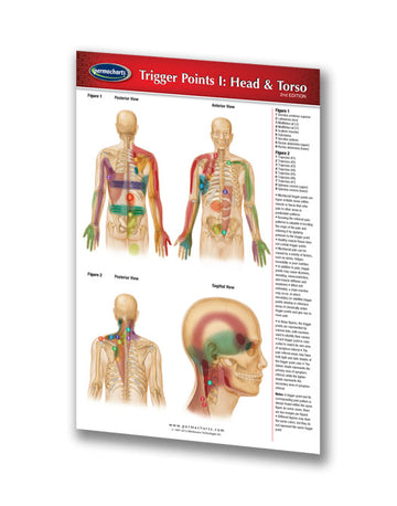Trigger Points I & II Pocket Charts- Acupuncture Reference Guides ...