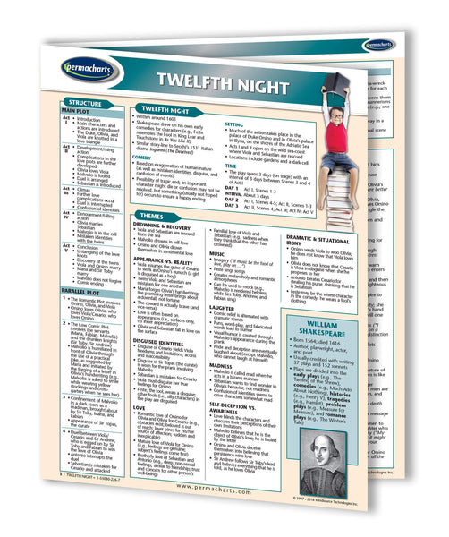 Twelfth Night Novel Summary Guide