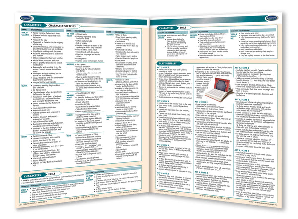 Twelfth Night Novel Summary Guide page 2